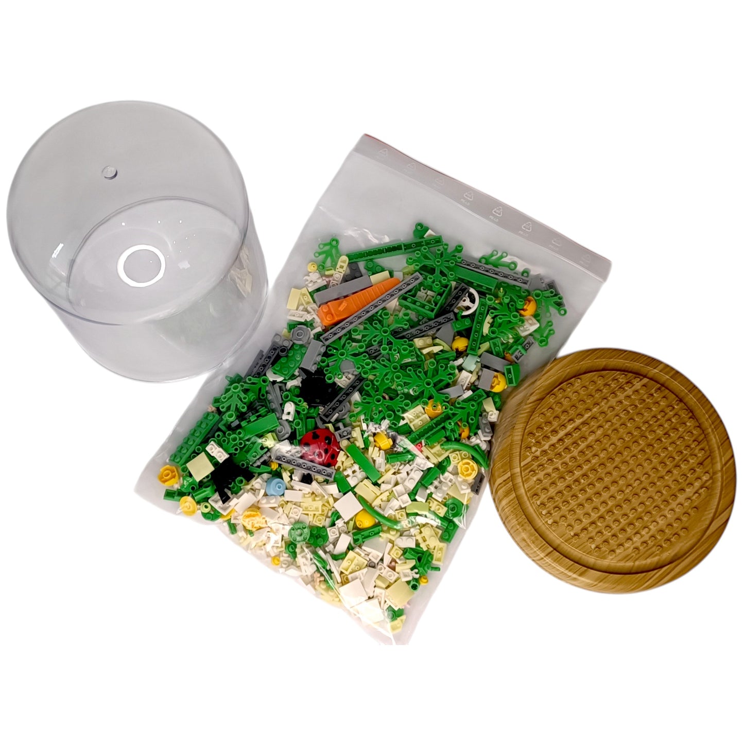 Immorial Flower / Unsterbliche Blume (B-Ware)