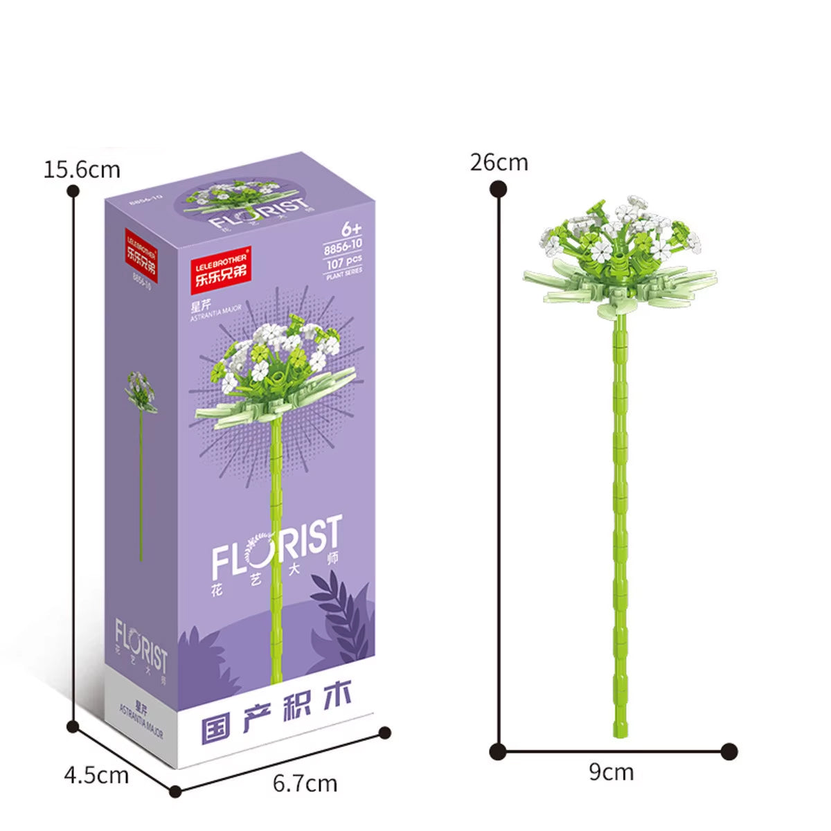 Immerwährender Blumenstrauß