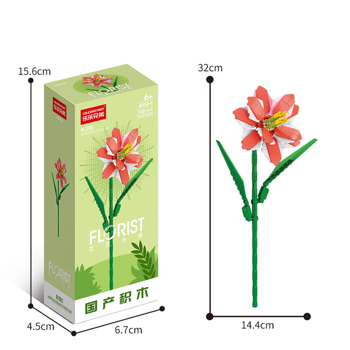 Immerwährender Blumenstrauß